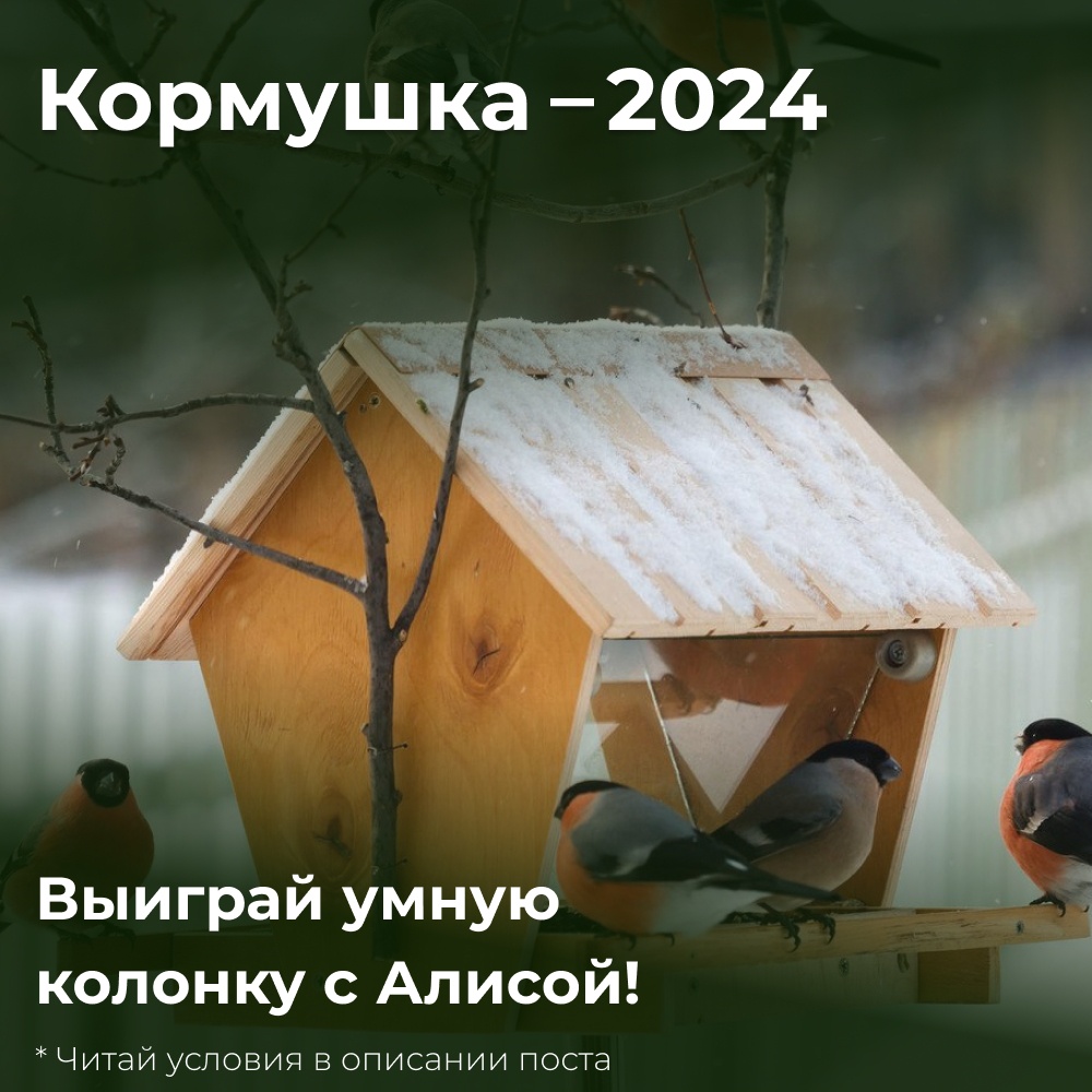 Приглашаем стать участниками Всероссийского конкурса «Кормушка-2024».