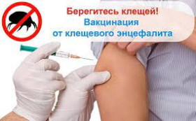 Об иммунизации детей против клещевого энцефалита.