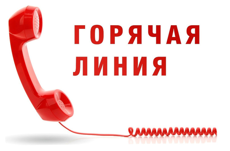 «горячая линия».