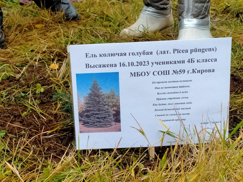 Всероссийский проект &quot;Посади свое дерево&quot;.